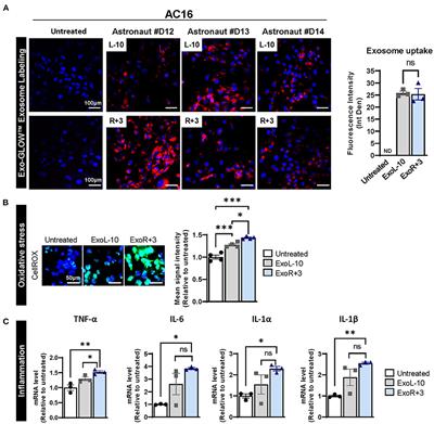 Astronauts Plasma-Derived Exosomes Induced Aberrant EZH2-Mediated H3K27me3 Epigenetic Regulation of the Vitamin D Receptor